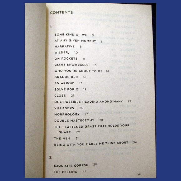 Book - Anybody: Poems, by Ari Banias - Picture 5 of 10